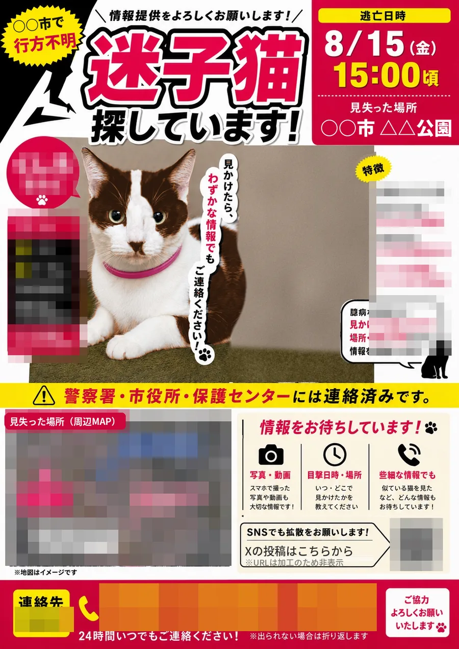 配布している迷子猫のチラシ。猫の写真と特徴、いなくなった日時と場所、連絡先が載っている。個人情報の部分は加工済み
